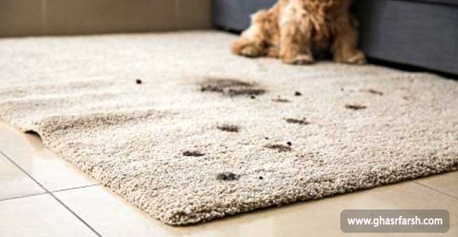 kitchen carpet